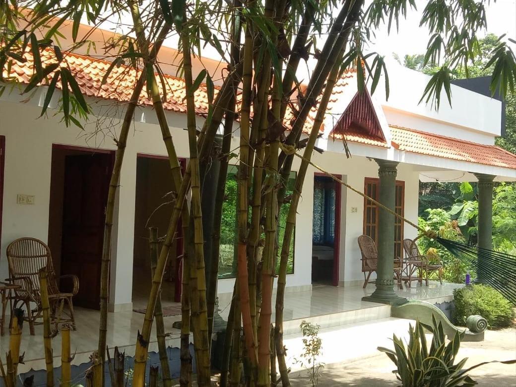 Green Garden Ayurvedic Resort & Green House Varkala Exteriör bild